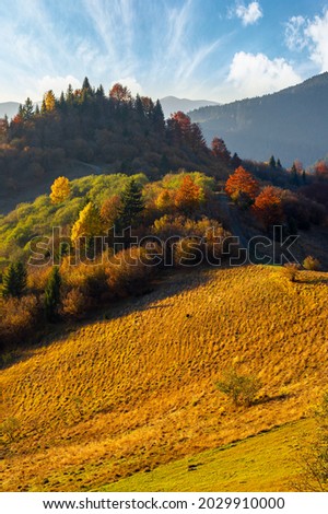 mountain landscape in autumn. trees in colorful foliage on the grassy hills. ridge in the distance beneath a sky with gorgeous clouds. beautiful nature scenery in evening light