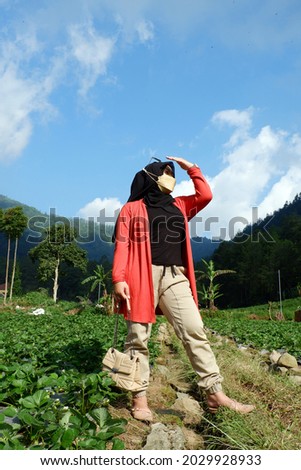 Asian hijab woman wearing a brown mask is taking pictures in the strawberry garden on the hill.