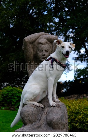 White mongrel dog in a colored neckerchief sits on the hands of a stone sculpture of a girl in a park in Riga