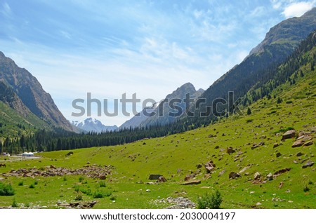 Rich colored grass field with adorable animals and blue glass sky in Kyrgyzstan
