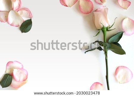 Rose and petals flat lay romantic background with copy space for text, card or product