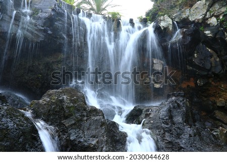 It is a beautiful summer scenery of Sojeongbang Waterfall in Jeju Island.
