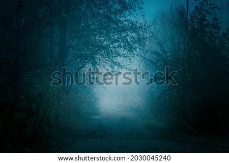 Mysterious pathway. Footpath through the dark, foggy, autumnal, mysterious forest.