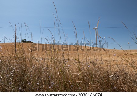 Lacedonia, high Irpinia, Campania, Italy. Wind towers on the windy hills. Summer, wheat fields, asphalt ribbon curving towards the sky. Italy, Campania.