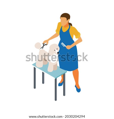 Isometric dog sitter walker service composition with hairy dog on table and female groomer with scissors vector illustration