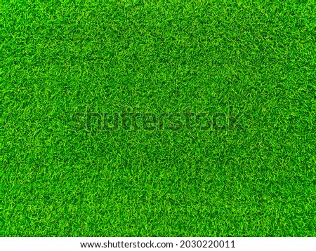Green grass texture background grass garden  concept used for making green background football pitch, Grass Golf,  green lawn pattern textured background. Royalty-Free Stock Photo #2030220011
