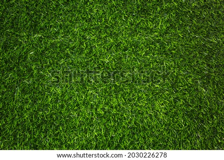artificial green grass texture for background