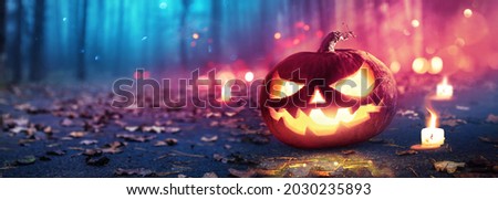 Halloween Pumpkins Glowing In Fantasy Night Forest . Jack O' Lantern Holiday Horror Background