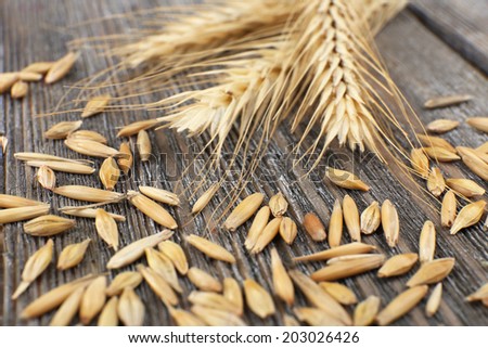 Rye grains and ears on table, close-up 