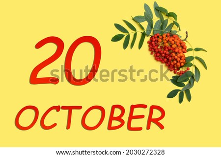 20th day of october. Rowan branch with red and orange berries and green leaves and date of 20 october on a yellow background. Autumn month, day of the year concept.