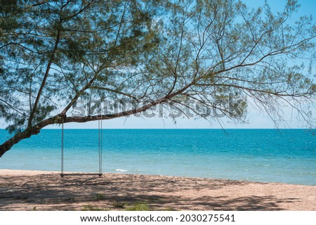 Wooden swing hanging on tree on the beach in tropical sea. Vacation on summer concept