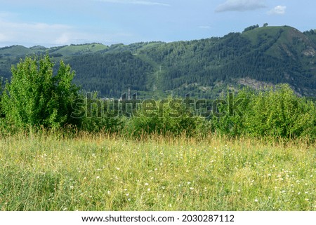 mountain peaks and mountain valley with green trees
