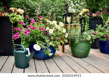 Backyard garden oasis setting with flowering planters, garden tools and watering can with lush growing plants in landscaped outdoors Royalty-Free Stock Photo #2030354921