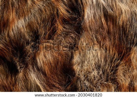 texture skin hairs brown and black background wallpaper otter wolf bison