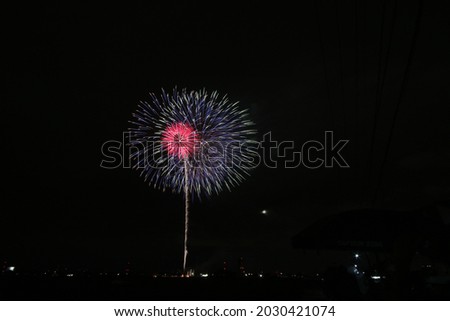Fireworks display held in Toyoake, Japan
