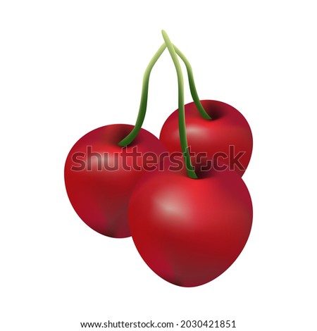 realistic cherry fruit re sizable vector art illustration gradient mesh