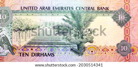Reverse side of 10 ten Dirhams banknote of the United Arab Emirates, currency of the UAE issued 1982 with Pictures of a sparrowhawk and a Pilot Farm, old Emirates money, vintage retro