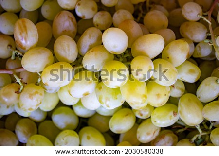 Bunch of delicious ripe white grapes, fruit background.