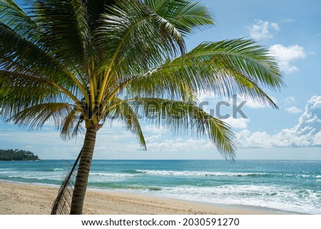 Beautiful Photo frames palms to blue sky island.Amazing coconut trees on sun light and clouds background.famous green trees in summer.Pattern trees leaf on sunset silhouette.Graphic banner template. 