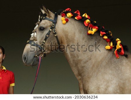 Andalusian horse portrait against dark stable background Royalty-Free Stock Photo #2030636234