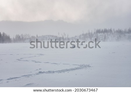 Frozen lake covered by snow, Poland, Tatra mountains
