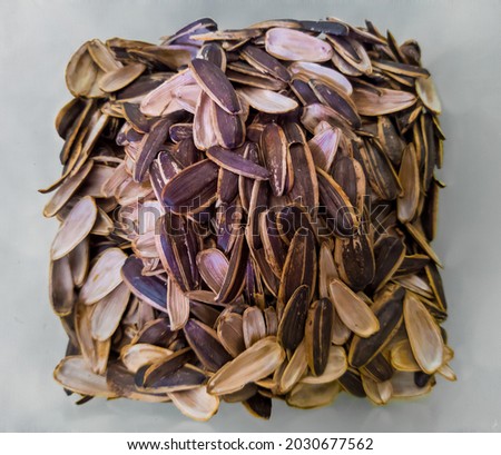 Full Shot Sunflower Seeds in Clear Background