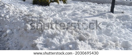 Lovely picture of the snow of Filomena in the winter of 2021. 
