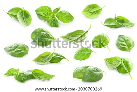 Fresh basil leaves on white background Royalty-Free Stock Photo #2030700269