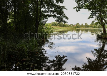 the lake is located in the thicket of the forest a beautiful view of nature
