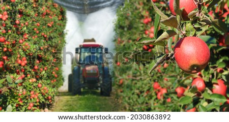 Spraying apple orchard to protect against disease and insects. Apple fruit tree spraying with a tractor and agricultural machinery in summer Royalty-Free Stock Photo #2030863892