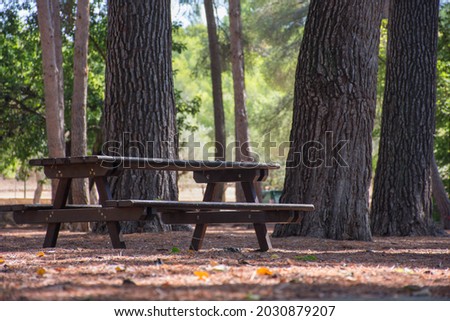 Wooden table in a forest ideal for a picnic or to relax with nature.