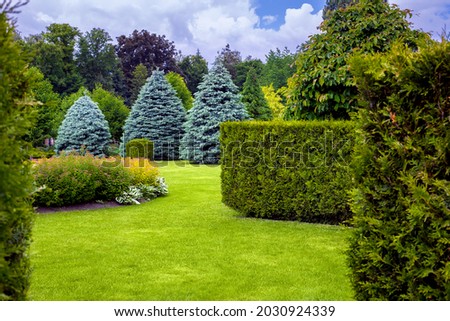 landscape desing of a park with a garden bed and trees with leaves and pine needles on a green lawn, evergreen and seasonal plants in the backyard. Royalty-Free Stock Photo #2030924339