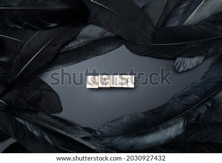 Black Friday and sale writtenon black background surrounded with dark feathers top view, business commercial concept modern design