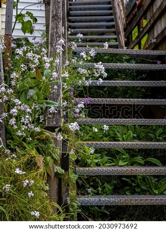 Tall staircases reach the tops of the highest hills in Juneau, A