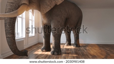 Big elephant calm in a apartment as a funny lack of space and pet concept image Royalty-Free Stock Photo #2030981408