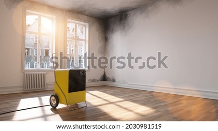 Professional dehumidifier after water damage standing in a room with Mould Royalty-Free Stock Photo #2030981519