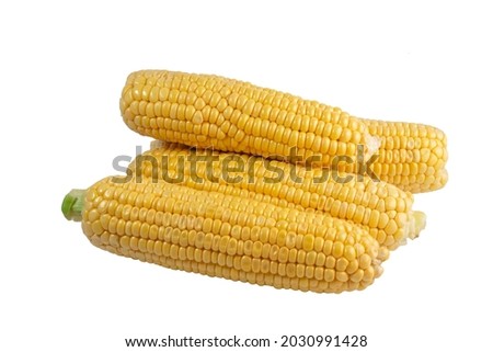 four raw sweet corn isolated on white background, close up with details Royalty-Free Stock Photo #2030991428