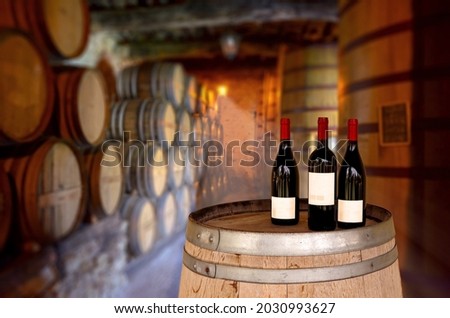 Red wine tasting in an old wine cellar with wooden wine barrels in a winery
