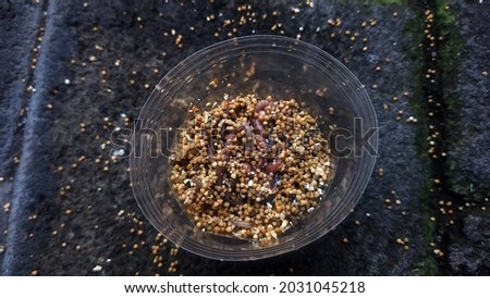 sea ​​worms and beach sand placed in plastic containers, can be used for health if boiled, with paping background.