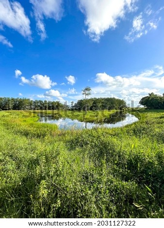 Palm Beach Gardens swamp bayou river landscape