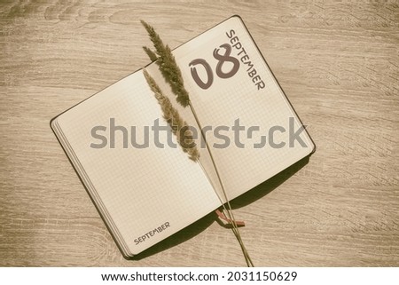 september 8. 8th day of month, calendar date.Blank pages of notebook are beige, with dried spikelets. Concept of day of year, time planner, autumn month