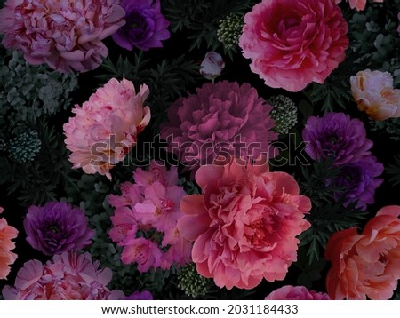 Floral summer seamless pattern. Garden flowers peonies and leaves on black background. Nature illustration. Template for fabrics, textiles, paper, wallpaper, interior decoration. Vintage. Royalty-Free Stock Photo #2031184433