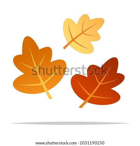 Autumn leaves vector isolated illustration
