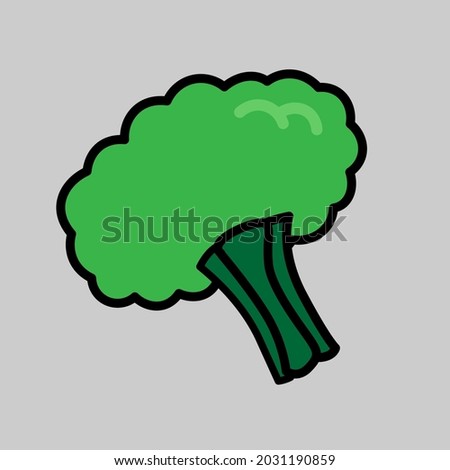 Broccoli fresh vegetable vector illustration
