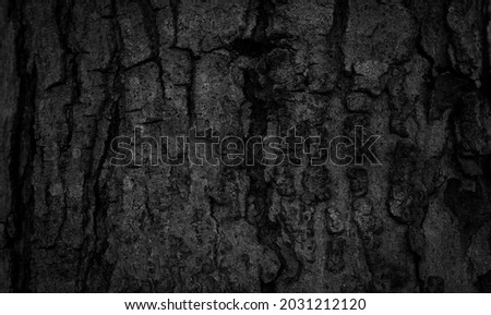 Black tree bark background Natural beautiful old tree bark texture According to the age of the tree with beautiful bark during the summer Royalty-Free Stock Photo #2031212120