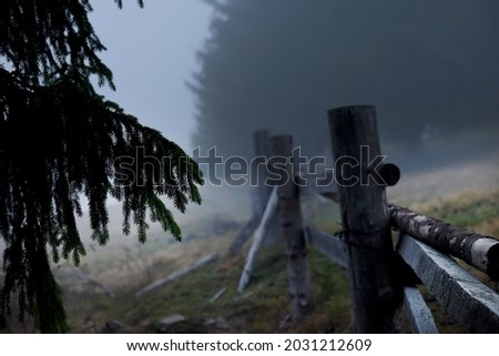 Autumn foggy landscape. Old wooden fence and spruce branches in the fog. Dramatic vintage mystical photo. Selective focus.