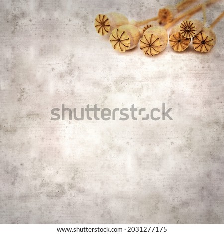 textured stylish old paper background, square, with poppy seed capsules
