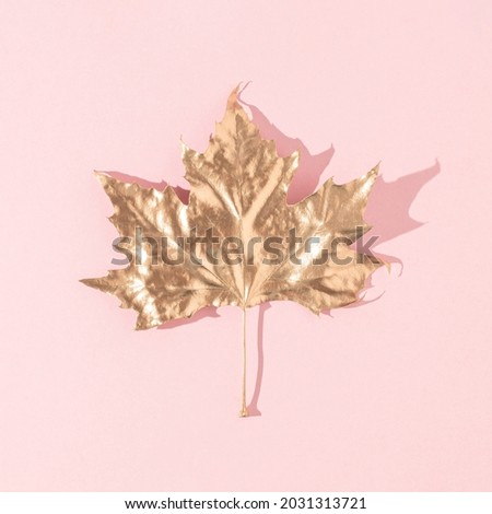 Golden maple leaf with sunny day shadow on pastel pink background. Minimal autumn nature layout.