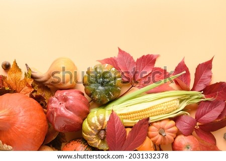 Holiday banner with fall harvest, pumpkins, corncob, colorful falling grapes leaves on a orange background. Thanksgiving Day and preparation for Halloween Party.