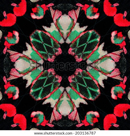 Beautiful of Multicolor Background made of Adamson's Rose Butterfly's wing skin